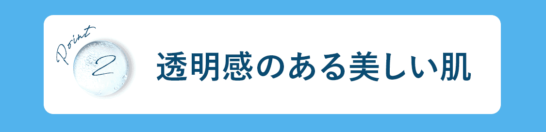 ポイント2:透明感のある美しい肌