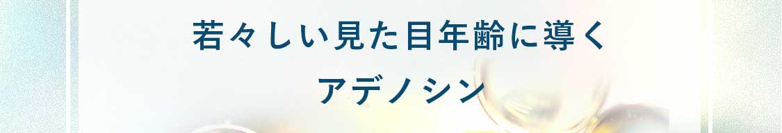 若々しい見た目年齢に導くアデノシン