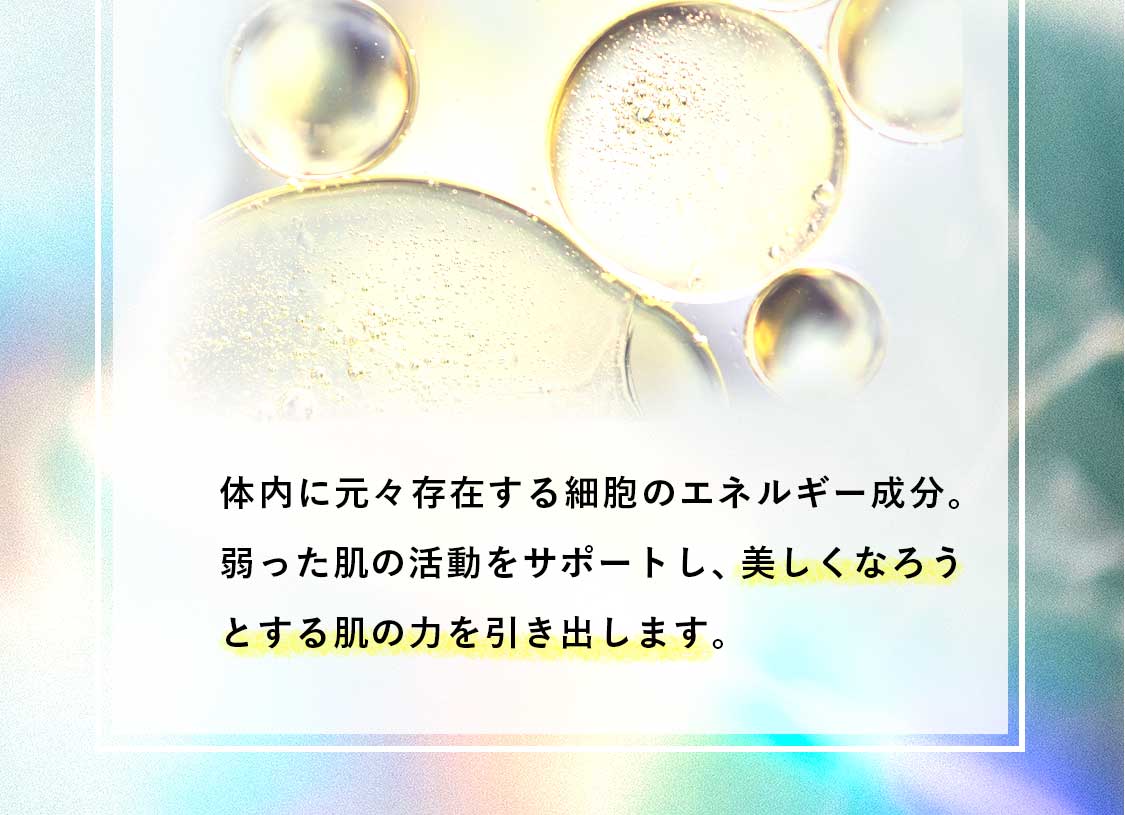 美しくなろうとする肌の力を引き出します。